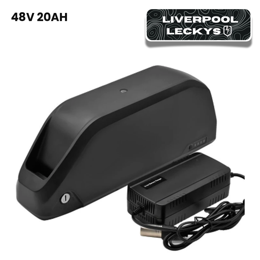 48v 20ah 30a BMS Ebike Polly Battery