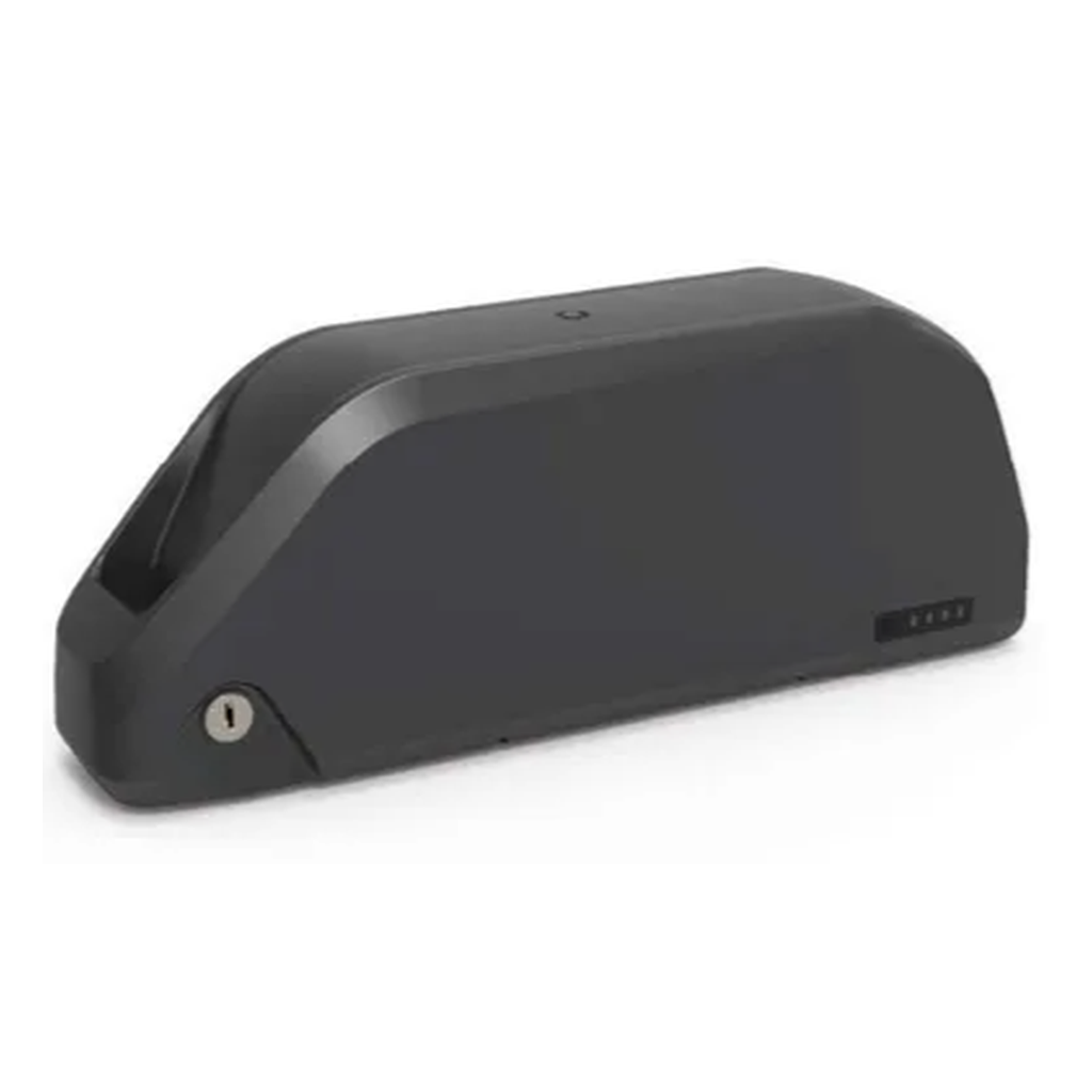 48v 20ah 30a BMS Ebike Polly Battery